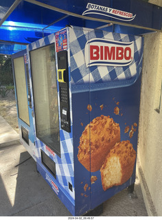 Bimbo drinks