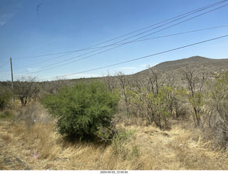 drive to San Miguel de Allende