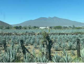 30 a24. Jose Cuerto train to Tequlia - I think she said this one is a volcano