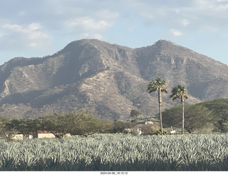 town of Tequila - Jose Cuervo Forum - musicians and dancers and our guides