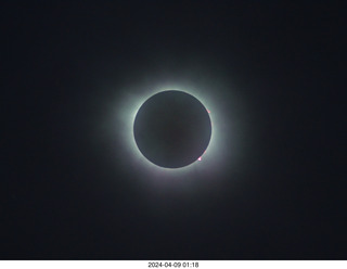 eclipse day - Andrew White, Howard Simkover, Suzanne Walton