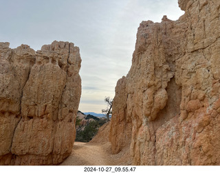 Bryce Canyon - Adam hiking