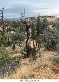Bryce Canyon - Tyler and Adam