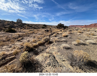 182 a2c. Utah - Wee Hope Mine airstrip - Tyler's exploration pictures