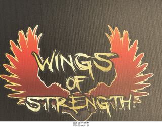 NPC Valley of the Sun Championships - Wings of Strength show