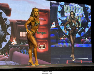 NPC Valley of the Sun Championships - Wings of Strength show