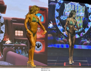 NPC Valley of the Sun Championships - Wings of Strength show