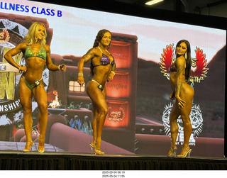 NPC Valley of the Sun Championships - Wings of Strength show