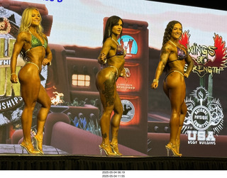 NPC Valley of the Sun Championships - Wings of Strength show