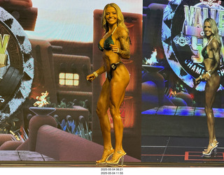 NPC Valley of the Sun Championships - Wings of Strength show