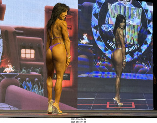 NPC Valley of the Sun Championships - Wings of Strength show