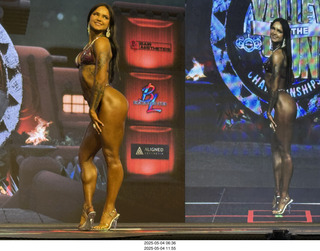 NPC Valley of the Sun Championships - Wings of Strength show