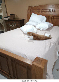 NPC Valley of the Sun Championships - Wings of Strength show