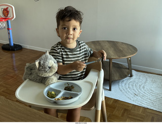 Midtown Manhattan apartment - Anthony Jr. and his toy cat