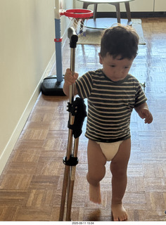 Midtown Manhattan apartment - Anthony Jr. and his toy cat