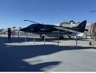 Midtown Manhattan apartment - Anthony Jr. and my cane