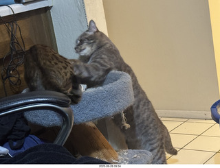 Midtown Manhattan - Intrepid Museum - Anthony and Jr.