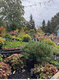 Longwood Gardens