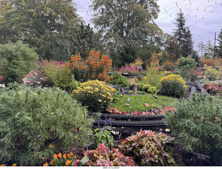 Longwood Gardens topiary