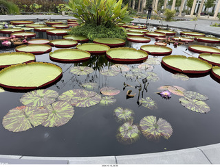 Longwood Gardens