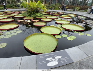 Longwood Gardens