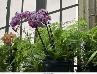 Longwood Gardens
