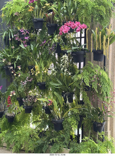 Longwood Gardens