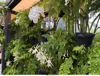 Longwood Gardens - organ