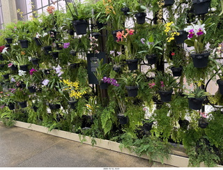 Longwood Gardens - organ program