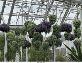 Longwood Gardens