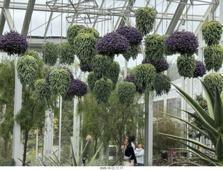 Longwood Gardens