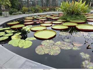 Longwood Gardens