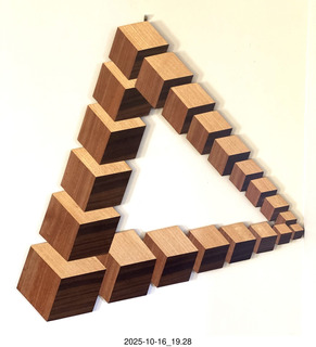 Spider Rock viewpoint - reminds me of Escher birds