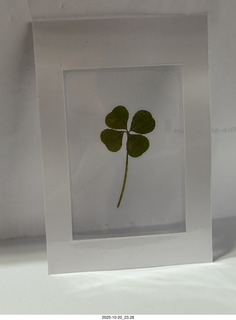 Downtown Chamber Series - picture