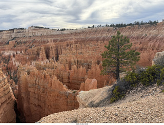 117 a2n. Bryce Canyon National Park Amphitheater