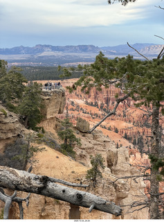 284 a2n. TF - Bryce Canyon National Park - view of a viewpoint