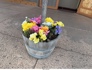 151 a2n. flowers at Ebenezer breakfast hall