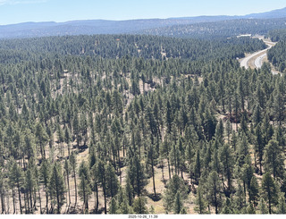 271 a2n. aerial - forest south of Flagstaff, Arizona