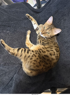 Ballet Arizona Sleeping Beauty curtain call