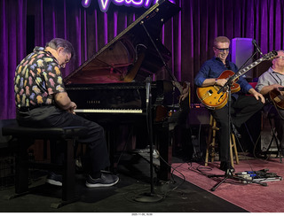 cat Pickle on my shoulder