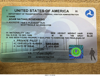 cat Pickle on my shoulder