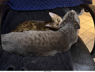 The Nash - pianist and owner