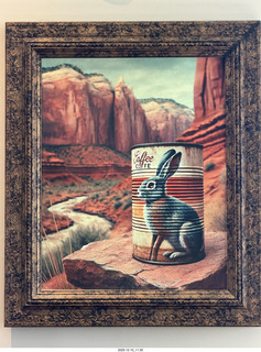 33 a2q. Marble Canyon jack rabbit picture
