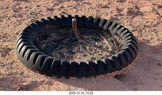 249 a2q. Utah - Happy Canyon airstrip area