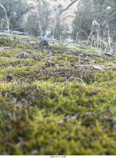 465 a2q. Utah - Canyonlands National Park