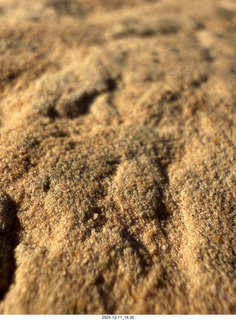 474 a2q. Utah - Canyonlands National Park