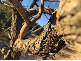 480 a2q. Utah - Canyonlands National Park