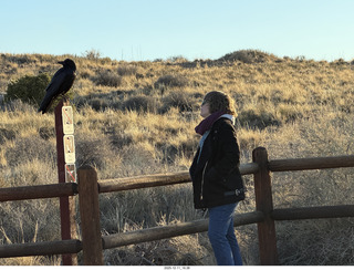 490 a2q. Utah - Canyonlands National Park - raven and Heather