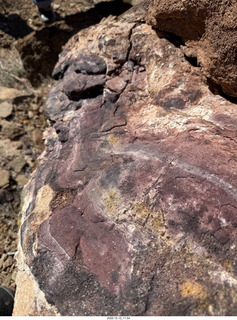 228 a2q. Utah -  Mineral Canyon hike - purple rock
