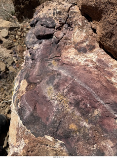 229 a2q. Utah -  Mineral Canyon hike - purple rock